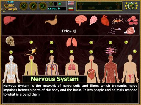 biology games|Organ Systems Puzzle .
